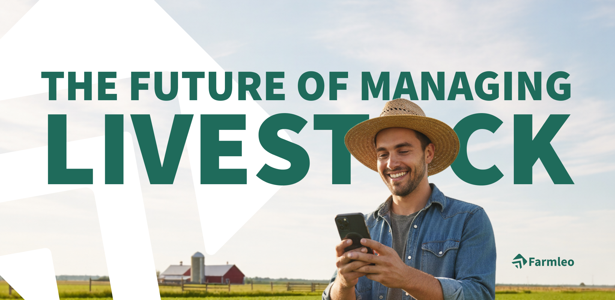 Farmer using Farmleo on a phone in the field