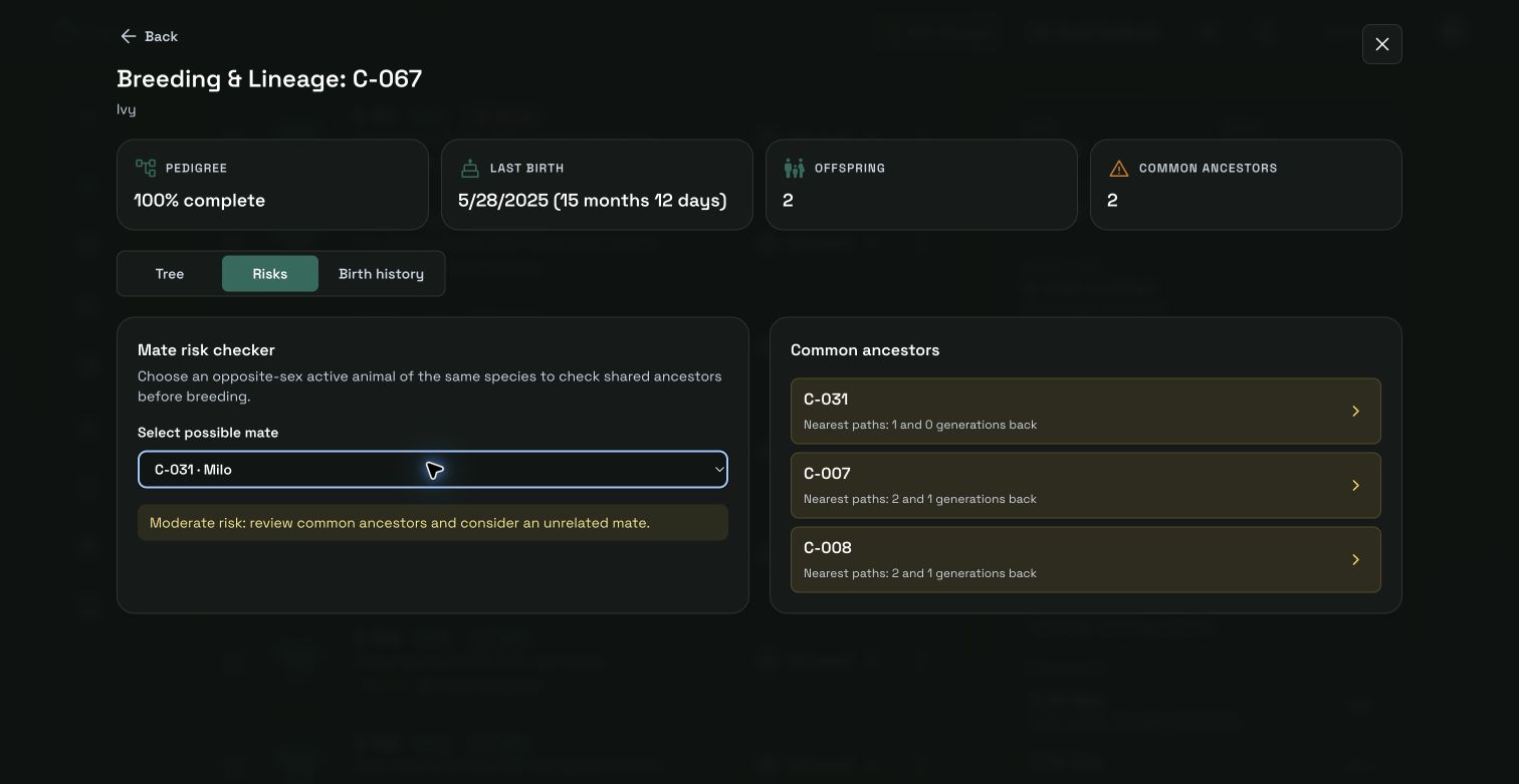 Farmleo mate risk checker showing a moderate-risk breeding pairing and common ancestors